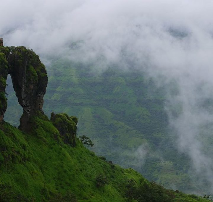 Elephants Head Point